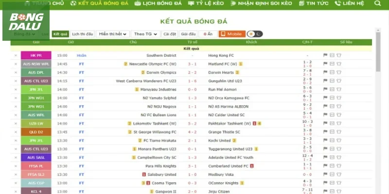 Giới thiệu những hạng mục cung cấp thông tin tại chuyên trang