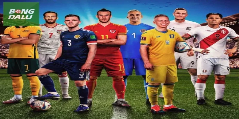 Về chúng tôi, Bongdalu chuyên cung cấp thông tin thể thao